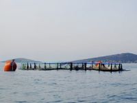 Ayvalık’ta balık çiftliği kurulmayacak