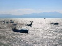 Beyşehir Gölü’nde balıkçılar tekneleriyle yarıştı