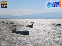 Beyşehir Gölü'nde demokrasi şöleni