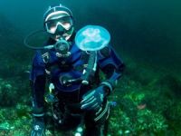 Erdek Körfezi'nde yapay resifler balık popülasyonunu artırdı