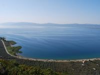 İznik Gölü ve çevresinden alınan numuneler temiz çıktı