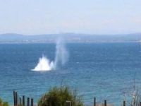 Bozcaada'da bulunan patlamamış mayın imha edildi