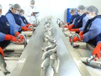 Hedef Ortadoğu’ya yıllık 50 milyon dolarlık balık ihraç etmek