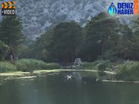 Olimpos'ta zıplayan balıklar ilgi odağı oldu