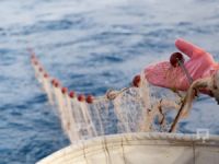 Balıkesirli balıkçılar, dümeni Ege Denizi'ne çevirdi