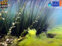 Türkiye'nin en yüksek gölü, dalışseverleri bekliyor