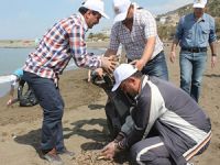 Hatay Samandağ'da sahil temizliği yapıldı