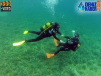 Görme engelliler hayatlarında ilk kez dalış yaptı