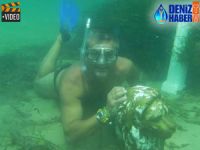 Deniz heykellerini tarihi eser sanıp çaldılar