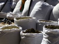 Çuha Adası açıklarında 2 ton esrar taşıyan yat tespit edildi