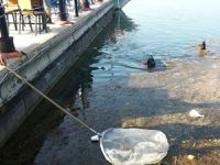 Köyceğiz'de sualtı ve kıyı temizliği yapıldı