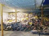 Köpek balığı yüklü 'M/V Fu Yuan Yu Leng 999' gemisi yakalandı