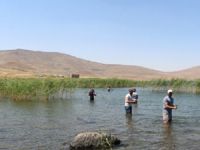 Taşlıçay Balık Gölü, ziyaretçi akınına uğruyor