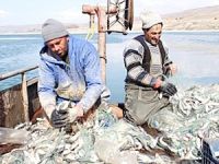 Av sezonu öncesi 8 bin vat kaygısı