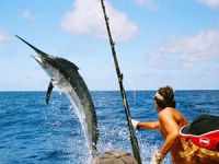 Most Bodrum Turnuvası heyecanı başladı