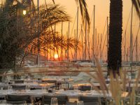 D-Marin Turgutreis Yacht Club sergilere ev sahipliği yapıyor