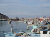 Kandıra Bağırganlı'ya balıkçı barınağı yapılacak