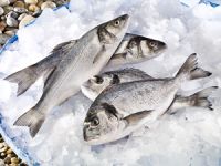 Türkiye su ürünleri ihracatında yönünü Çin’e çevirdi