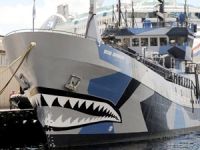 SEA SHEPHERD, Japon balina avcılarını takibi bıraktı