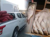 Çanakkale'de su ürünleri kontrolü yapıldı