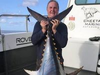 Galler'de dünyanın en büyük ton balığı avlandı