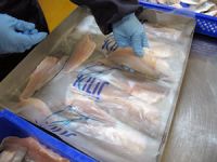 Türkiye balık tüketiminde dünya ortalamasının gerisinde kaldı