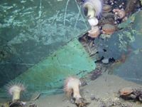 Titanik gemisinin enkazı yakında yok olacak