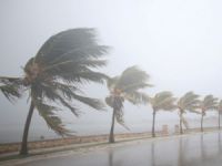 ABD sahil kentlerinde Jose kasırgası bekleniyor