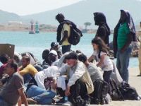 Ayvalık'ta 14 kaçak göçmen ve 5 organizatör yakalandı