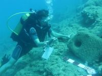 Antalya ve Mersin kıyılarında 18 gemi batığı bulundu