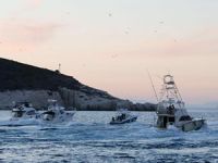 Amatör balıkçılar Alaçatı Uluslararası Balıkçılık Turnuvası'nda buluşuyor