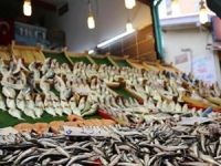 Yatırımlar yönünü balık çiftliklerine çevirdi