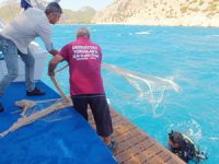 Mersin'de denizde bırakılan av malzemeleri temizleniyor