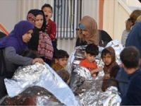 Dikili'de 113 kaçak göçmen yakalandı