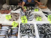 Palamut yüz güldürmedi, tanesi 20 liradan satılıyor!