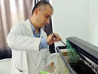 Sudaki kirlilik balıklara göre ölçülecek