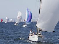 Arkas Körfez Yarışı'na 43 tekne ve 400 sporcu katıldı