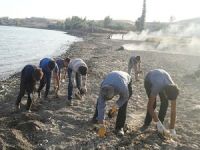 Van Gölü’nün sahilinde çevre temizliği yapıldı