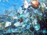 Malta Okyanus Zirvesi’nde deniz temizliği için iş birliği kararı