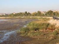 Beyşehir Gölü kıyılarında sular çekilmeye başladı