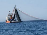 İsrail Gazze'de balık avlama mesafesini artırdı