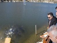 Sille Barajı'na 35 bin yavru balık bırakıldı