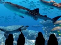 Avrupa'nın en büyük tatlı su akvaryumu İsviçre'de açıldı