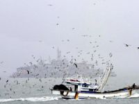 KDHC, Güney Kore'ye ait bir tekneyi serbest bıraktı