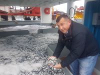 Balıkçılar, Rize Limanı'na hamsi ile döndü