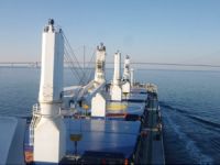 Guangdong Renke Shipping, 2 gemisini satıyor