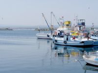 Selahattin Minsolmaz: Yenilenecek olan limanla İğneada cazibe merkezi olacak