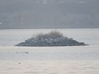 Beyşehir Gölü'nde sular çekilince adacıklar oluştu