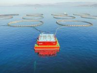 Kültür balıkçılığında ihracat 1 milyar dolara ulaştı