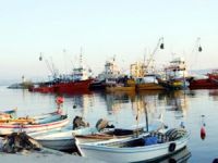 Balıkesir'de 45 tekne destek almak için başvuruda bulundu